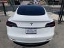 2020 Tesla Model 3 Base (5YJ3E1EA1LF) with an ELECTRIC engine, 1A transmission, located at 744 E Miner Ave, Stockton, CA, 95202, (209) 944-5770, 37.956863, -121.282082 - PLUS TAXES AND FEES NO CHARGER AVAILABLE - Photo#11