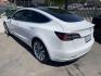 2020 Tesla Model 3 Base (5YJ3E1EA1LF) with an ELECTRIC engine, 1A transmission, located at 744 E Miner Ave, Stockton, CA, 95202, (209) 944-5770, 37.956863, -121.282082 - PLUS TAXES AND FEES NO CHARGER AVAILABLE - Photo#10