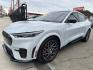 2021 Ford Mustang Mach-E GT (3FMTK4SX7MM) with an ELECTRIC engine, 1A transmission, located at 744 E Miner Ave, Stockton, CA, 95202, (209) 944-5770, 37.956863, -121.282082 - Photo#3