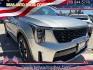2025 Kia Sorento Hybrid EX AWD (KNDRJDJH0S5) with an 1.6L L4 DOHC 16V HYBRID engine, 6A transmission, located at 744 E Miner Ave, Stockton, CA, 95202, (209) 944-5770, 37.956863, -121.282082 - Photo#0