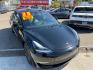 2023 Tesla Model 3 Standard (5YJ3E1EA5PF) with an ELECTRIC engine, 1A transmission, located at 744 E Miner Ave, Stockton, CA, 95202, (209) 944-5770, 37.956863, -121.282082- Photo#1